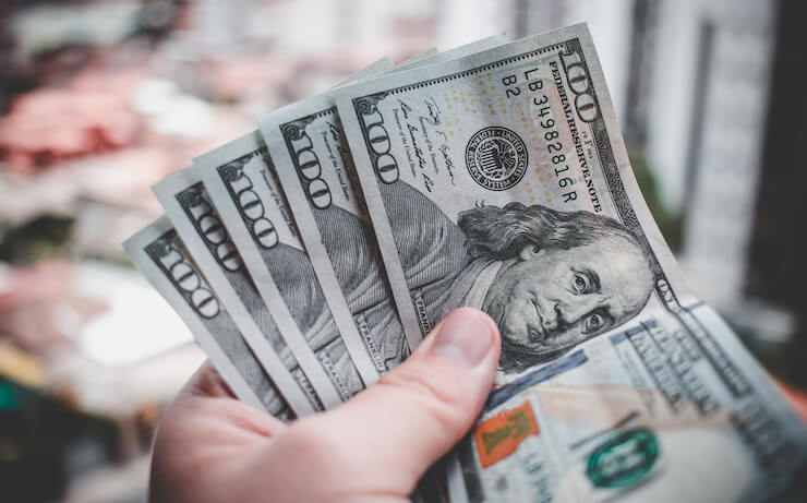 person holding money